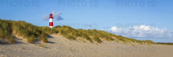 The Lister lighthouse at Ellenbogen, morning light, morning mood, dune, North Sea island, Sylt