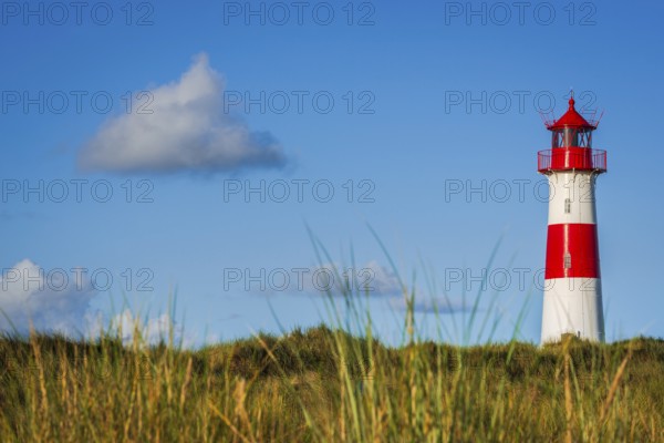 The Lister lighthouse at Ellenbogen, morning light, morning mood, dune, North Sea island, Sylt