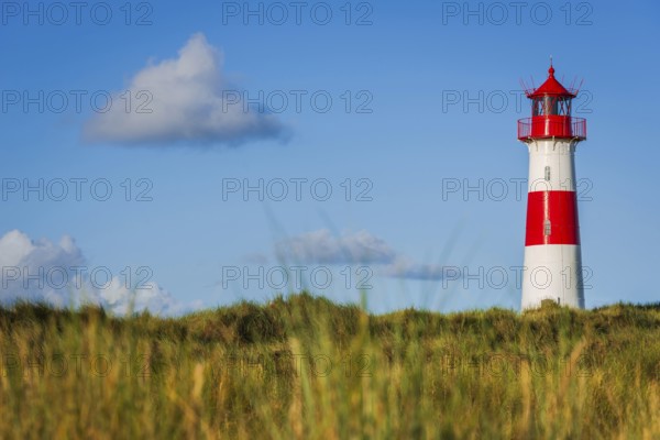 The Lister lighthouse at Ellenbogen, morning light, morning mood, dune, North Sea island, Sylt
