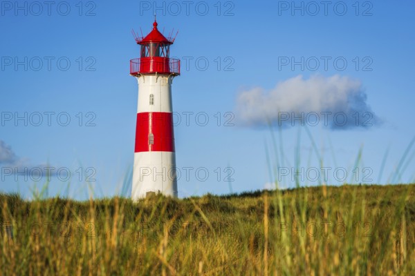 The Lister lighthouse at Ellenbogen, morning light, morning mood, dune, North Sea island, Sylt