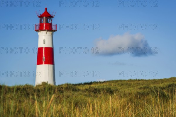 The Lister lighthouse at Ellenbogen, morning light, morning mood, dune, North Sea island, Sylt