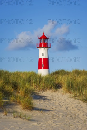 The Lister lighthouse at Ellenbogen, morning light, morning mood, dune, North Sea island, Sylt