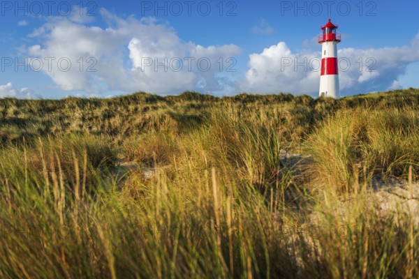 The Lister lighthouse at Ellenbogen, morning light, morning mood, dune, North Sea island, Sylt