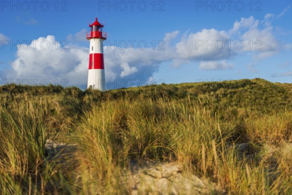 The Lister lighthouse at Ellenbogen, morning light, morning mood, dune, North Sea island, Sylt