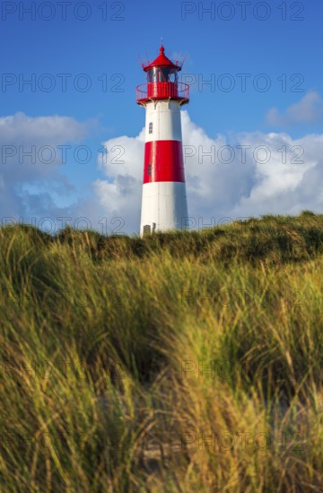 The Lister lighthouse at Ellenbogen, morning light, morning mood, dune, North Sea island, Sylt
