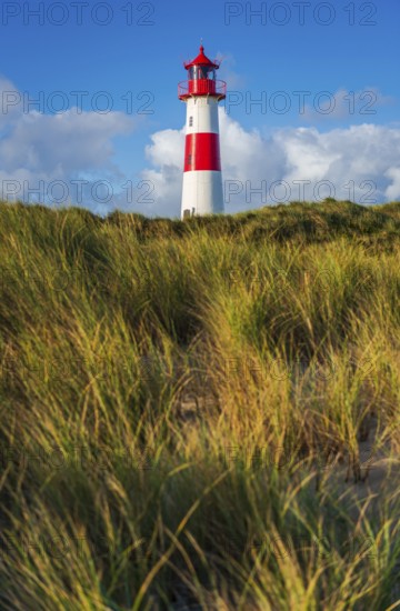 The Lister lighthouse at Ellenbogen, morning light, morning mood, dune, North Sea island, Sylt