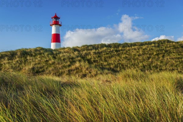 The Lister lighthouse at Ellenbogen, morning light, morning mood, dune, North Sea island, Sylt