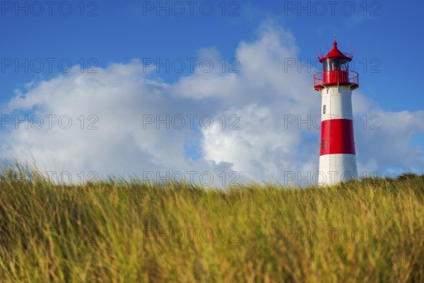 The Lister lighthouse at Ellenbogen, morning light, morning mood, dune, North Sea island, Sylt