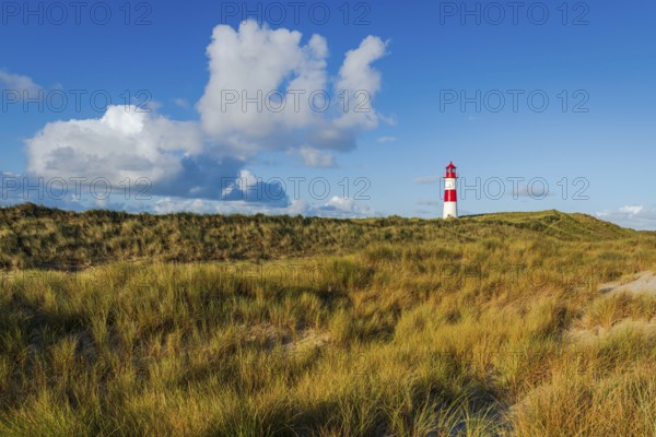 The Lister lighthouse at Ellenbogen, morning light, morning mood, dune, North Sea island, Sylt