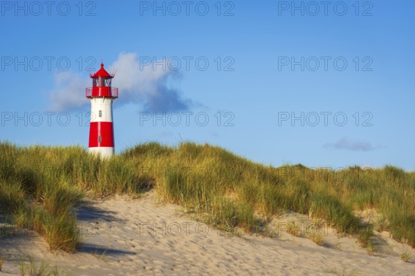 The Lister lighthouse at Ellenbogen, morning light, morning mood, dune, North Sea island, Sylt