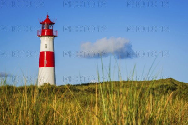 The Lister lighthouse at Ellenbogen, morning light, morning mood, dune, North Sea island, Sylt