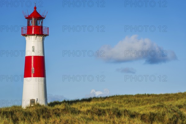 The Lister lighthouse at Ellenbogen, morning light, morning mood, dune, North Sea island, Sylt