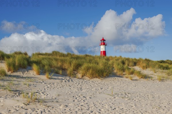 The Lister lighthouse at Ellenbogen, morning light, morning mood, dune, North Sea island, Sylt