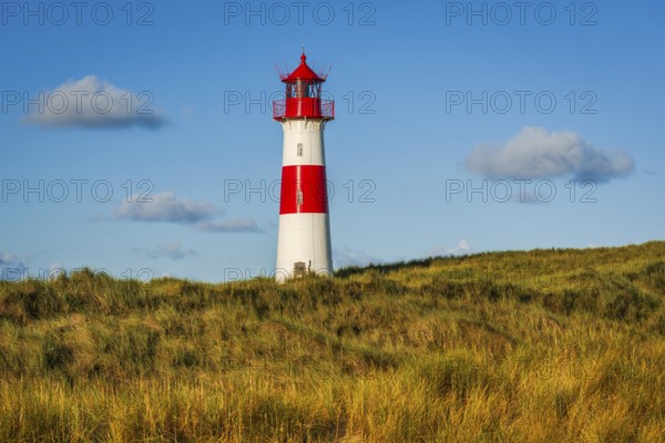 The Lister lighthouse at Ellenbogen, morning light, morning mood, dune, North Sea island, Sylt