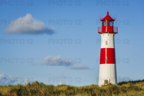 The Lister lighthouse at Ellenbogen, morning light, morning mood, dune, North Sea island, Sylt