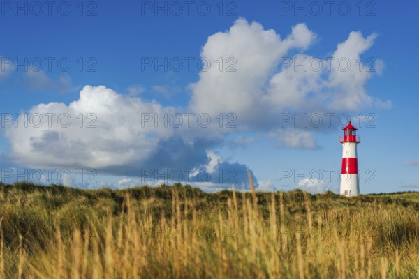 The Lister lighthouse at Ellenbogen, morning light, morning mood, dune, North Sea island, Sylt