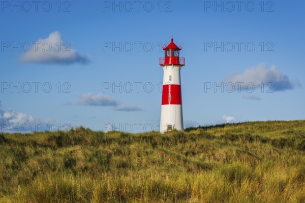 The Lister lighthouse at Ellenbogen, morning light, morning mood, dune, North Sea island, Sylt