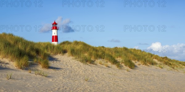 The Lister lighthouse at Ellenbogen, morning light, morning mood, dune, North Sea island, Sylt