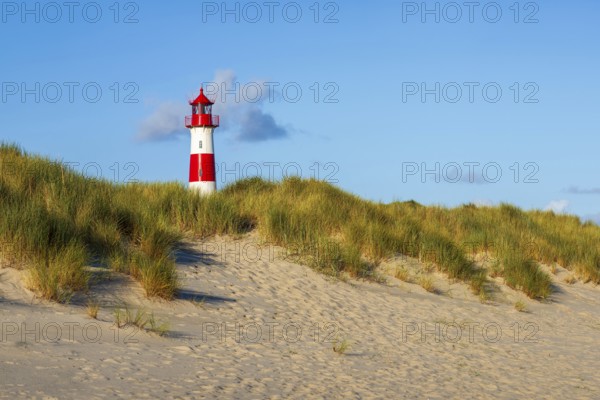 The Lister lighthouse at Ellenbogen, morning light, morning mood, dune, North Sea island, Sylt