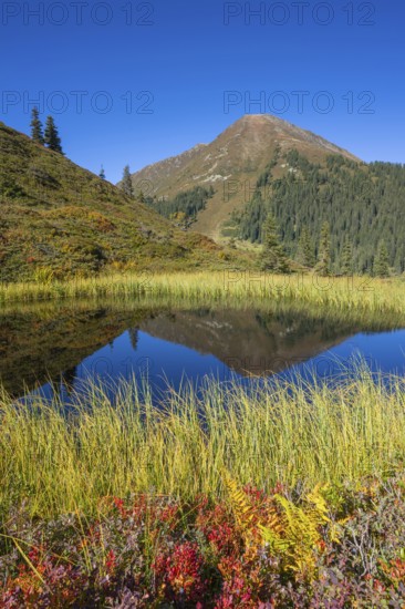 Moor pond at the Kleiner Gamsstein, behind it the Kuhmesser, Kleiner Gamsstein, Tuxer Voralpen, Tyrol, Austria