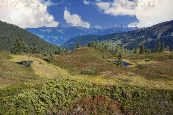 Moor pond on the Kleiner Gamsstein, with the Zillertal Alps behind it, Kleiner Gamsstein, Tuxer Voralpen, Tyrol, Austria