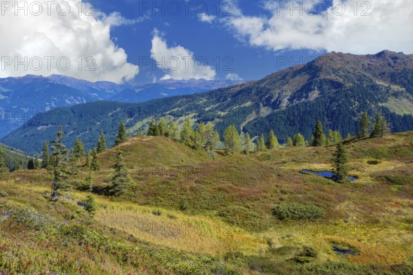 Moor pond on the Kleiner Gamsstein, with the Zillertal Alps behind it, Kleiner Gamsstein, Tuxer Voralpen, Tyrol, Austria