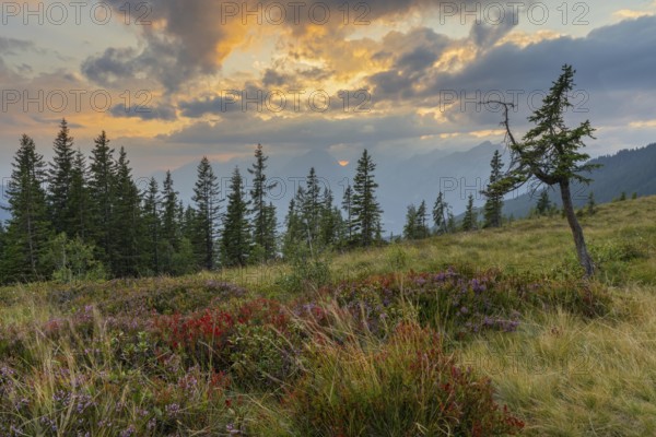 Mountain landscape in autumn at sunset, with the Inn valley and the Karwendel mountains behind, Naunz, Tuxer Voralpen, Tyrol, Austria