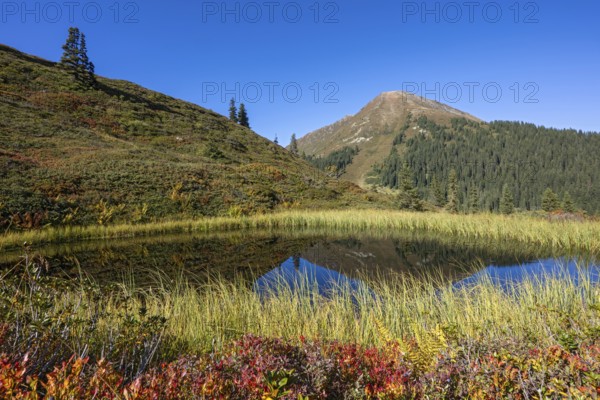Moor pond at the Kleiner Gamsstein, behind it the Kuhmesser, Kleiner Gamsstein, Tuxer Voralpen, Tyrol, Austria