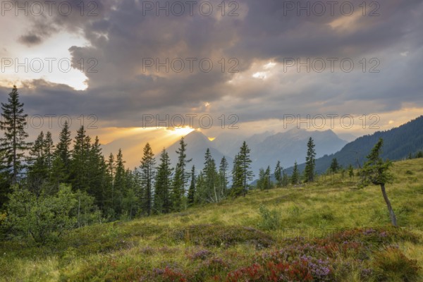 Mountain landscape in autumn at sunset, with the Inn valley and the Karwendel mountains behind, Naunz, Tuxer Voralpen, Tyrol, Austria
