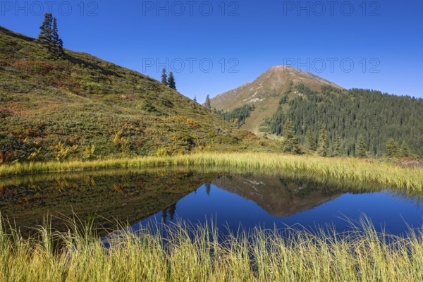 Moor pond at the Kleiner Gamsstein, behind it the Kuhmesser, Kleiner Gamsstein, Tuxer Voralpen, Tyrol, Austria