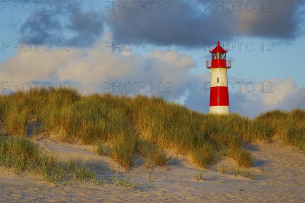 The Lister lighthouse at Ellenbogen, morning light, morning mood, dune, North Sea island, Sylt