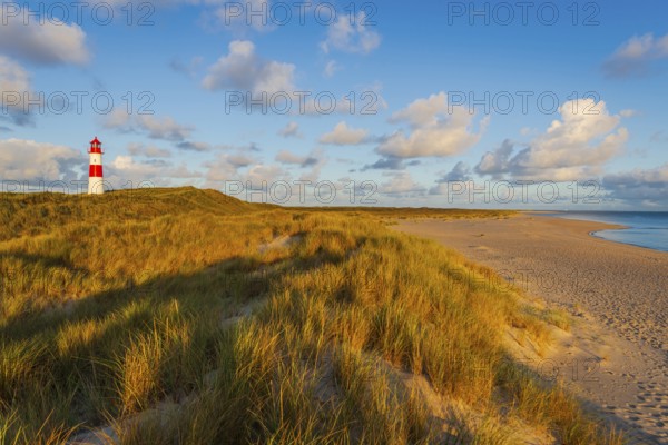 The Lister lighthouse at Ellenbogen, morning light, morning mood, dune, North Sea island, Sylt