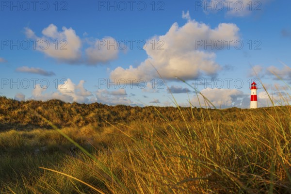 The Lister lighthouse at Ellenbogen, morning light, morning mood, dune, North Sea island, Sylt