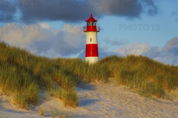 The Lister lighthouse at Ellenbogen, morning light, morning mood, dune, North Sea island, Sylt