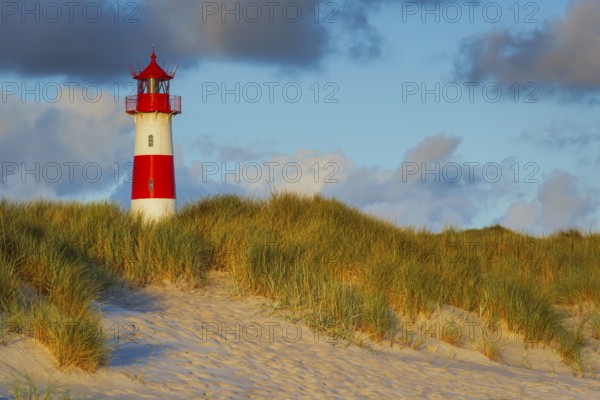 The Lister lighthouse at Ellenbogen, morning light, morning mood, dune, North Sea island, Sylt
