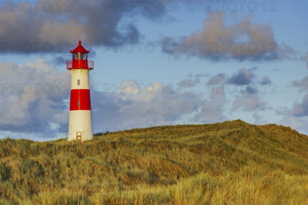 The Lister lighthouse at Ellenbogen, morning light, morning mood, dune, North Sea island, Sylt