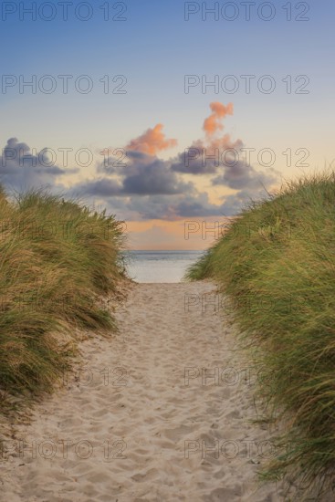 Path through the dunes in the morning light, wanderlust, holiday, North Sea, Sylt