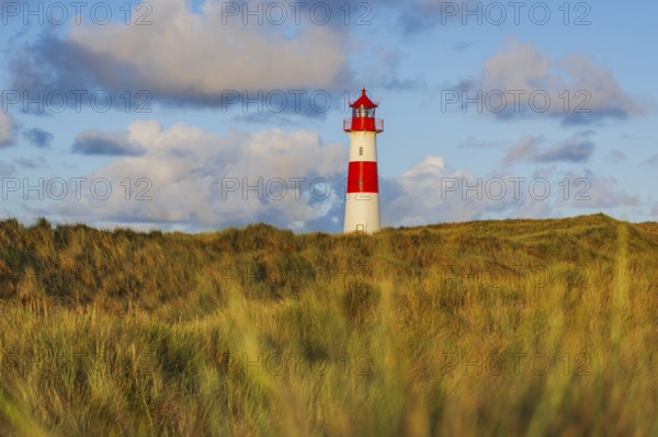 The Lister lighthouse at Ellenbogen, morning light, morning mood, dune, North Sea island, Sylt