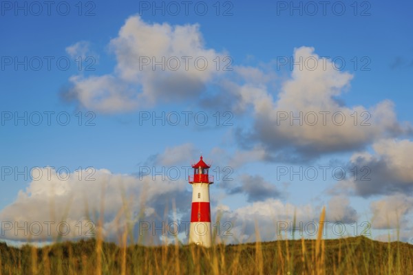 The Lister lighthouse at Ellenbogen, morning light, morning mood, dune, North Sea island, Sylt