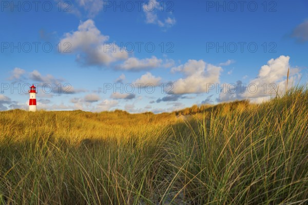 The Lister lighthouse at Ellenbogen, morning light, morning mood, dune, North Sea island, Sylt