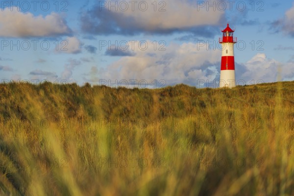 The Lister lighthouse at Ellenbogen, morning light, morning mood, dune, North Sea island, Sylt