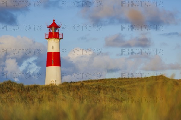 The Lister lighthouse at Ellenbogen, morning light, morning mood, dune, North Sea island, Sylt