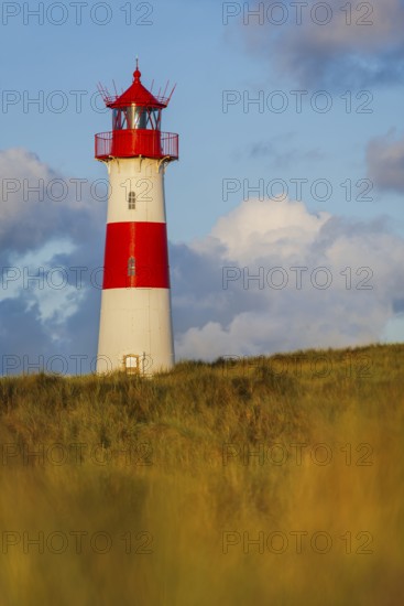 The Lister lighthouse at Ellenbogen, morning light, morning mood, dune, North Sea island, Sylt