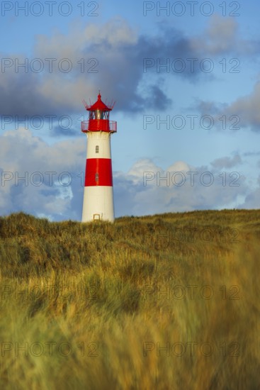 The Lister lighthouse at Ellenbogen, morning light, morning mood, dune, North Sea island, Sylt