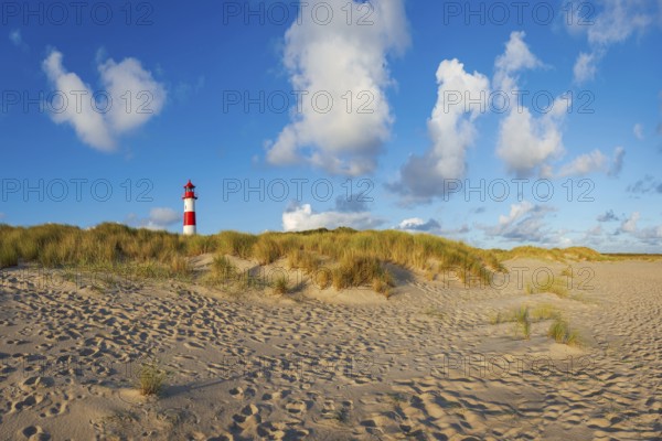The Lister lighthouse at Ellenbogen, morning light, morning mood, dune, North Sea island, Sylt