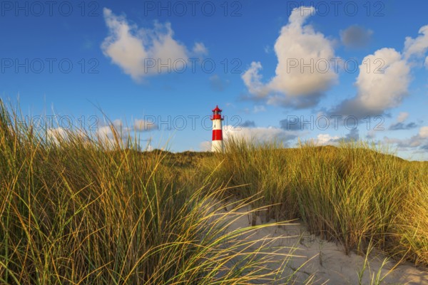 The Lister lighthouse at Ellenbogen, morning light, morning mood, dune, North Sea island, Sylt