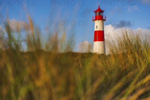The Lister lighthouse at Ellenbogen, morning light, morning mood, dune, North Sea island, Sylt