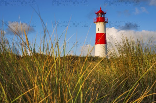 The Lister lighthouse at Ellenbogen, morning light, morning mood, dune, North Sea island, Sylt