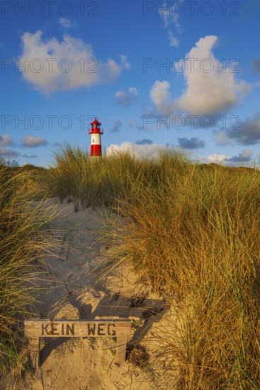 Nature reserve at Lister Ellenbogen, dunes, ban, no access, Sylt