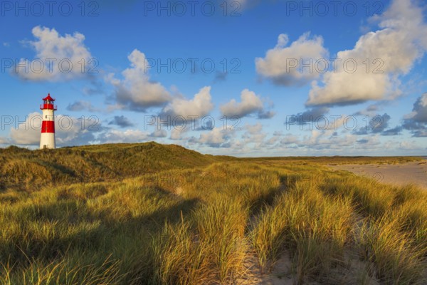 The Lister lighthouse at Ellenbogen, morning light, morning mood, dune, North Sea island, Sylt